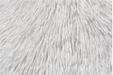 White fur textureUseful As Background  Stock Image Everypixel sketch template