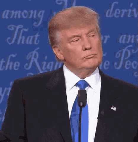 Donald Trump Wrong GIF - DonaldTrump Wrong Sassy - Discover & Share GIFs