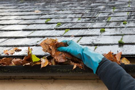 How to Clean Your Gutters | Gutter Cleaning Tips | Homebase