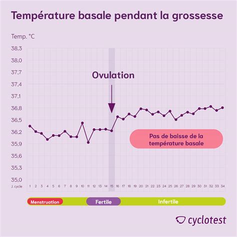 Quelle est la courbe de température basale du corps ? | Cyclotest