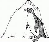 Adelie Penguin Coloring Page  Home sketch template