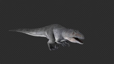 Giganotosaurus Run And Roar Pack 8 In 1, Motion Graphics | VideoHive