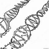 Colorful Dna Helix Coloring Page 26053 20579 sketch template