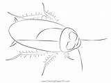 Cockroach Coloring Page For Kids  Free Cockroaches Printable Coloring sketch template