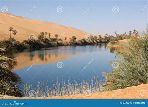 Oasis, Sahara Desert stock image. Image of libya, grass - 8728399