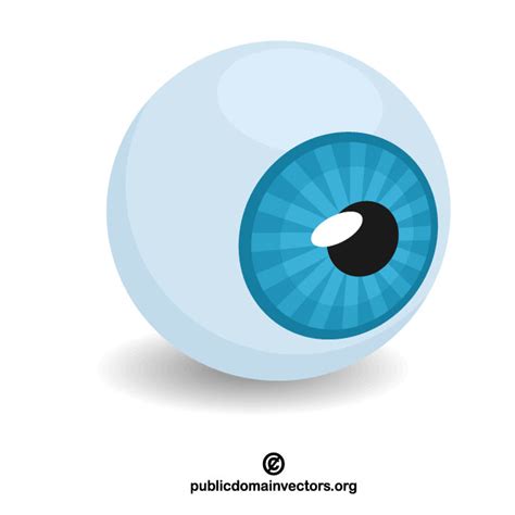 Eyeball Royalty Free Stock Vector Clip Art