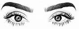 Eyebrow Coloring Pages sketch template
