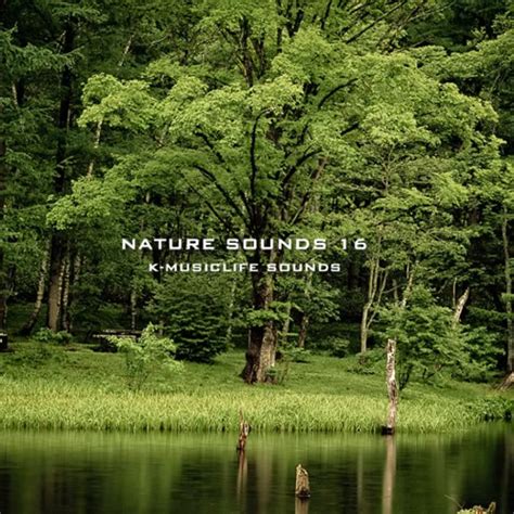 Nature Sound - THE MOST RELAXING SOUNDS by Hend .. | Free Listening on ...