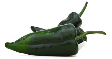 Poblano Peppers: Scoville, Cooking, & Growing + 3 Easy Ways To Roast Poblanos - Grow Hot Peppers