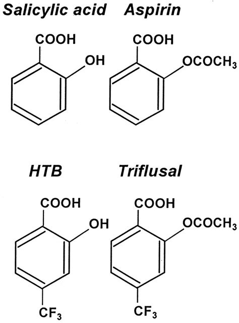 Images For > Aspirin Molecular Structure | Molecular structure, Molecular, Chemistry