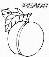 Peach Coloring Pages  Best For Kids sketch template
