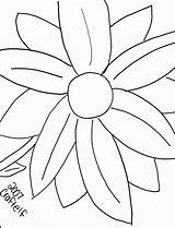 Large Flowers Coloring Pages  Nation sketch template