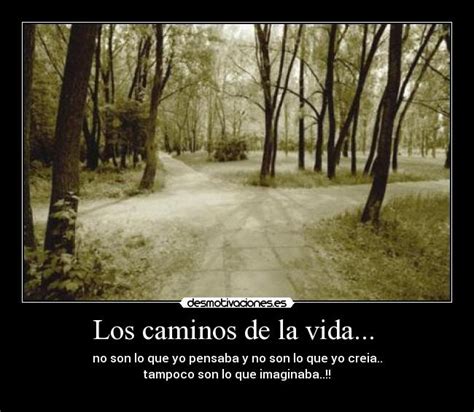 LOS CAMINOS DE LA VIDA