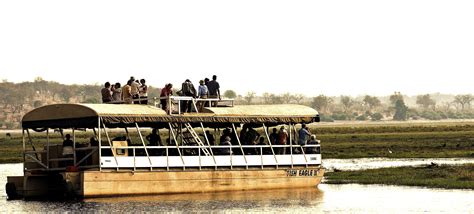 Limpopo boat cruise | Wildlife photography, Wildlife, Photography
