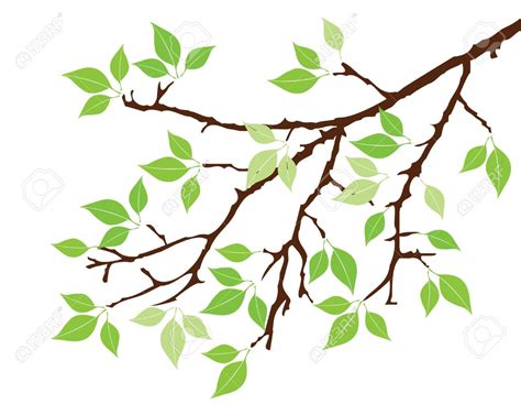 Tree leaves and twigs clipart 20 free Cliparts | Download images on ...