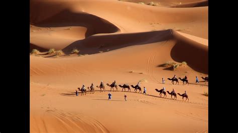 Sahara Desert Sand Dunes