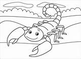Scorpion coloring Page  Free Printable Coloring Pages sketch template