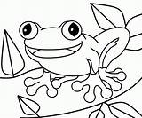 Toad Coloring Page sketch template