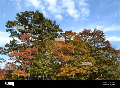 Autumn in Nikko, Japan Stock Photo - Alamy