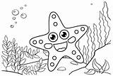 Starfish Pictures Coloring Page  Free Printable Pages sketch template