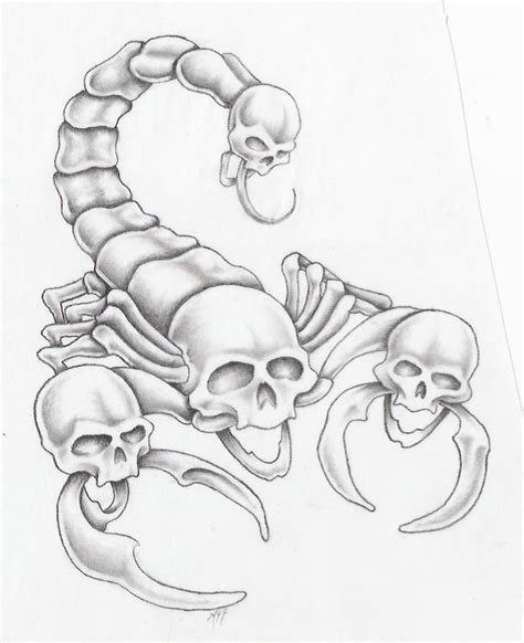 scorpion by markfellows on deviantART | Skull tattoo design, Tattoo design drawings, Cool skull ...