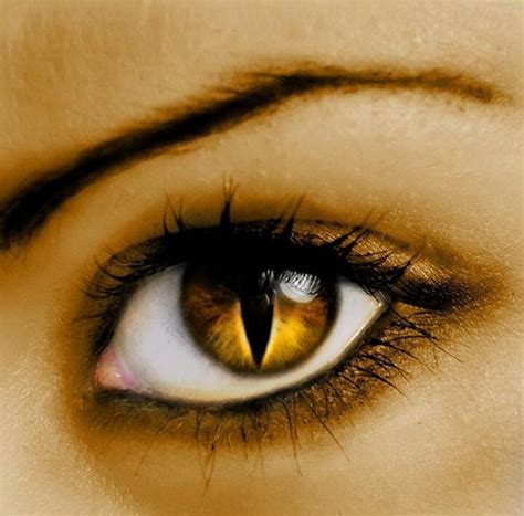 30 best Contacts ↖(^ ^)↗ images on Pinterest | Contact lenses color, Eye contact lenses and Cat ...