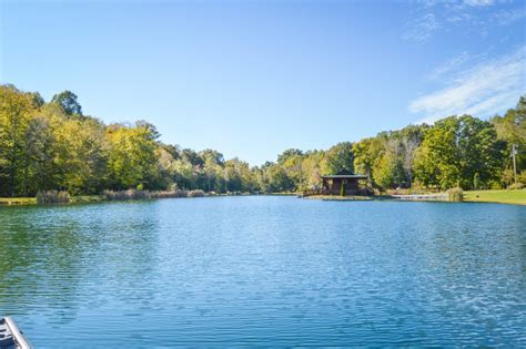 The Lake – Peaceful Valley Lake and Cabins