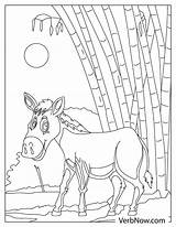 Free DONKEY Coloring Pages For Download Printable PDF sketch template