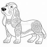 Basset dog coloring Page Stock Vector Illustration Of Design  262446712 sketch template