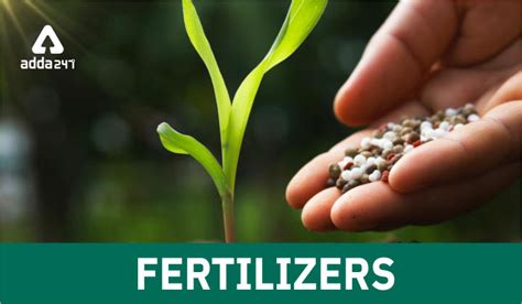 Fertilizers: Types, Uses and Importance 2022 You must know.