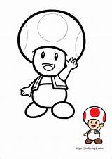 Toad Mario Coloring Pages  2 Free Sheets 2021 sketch template