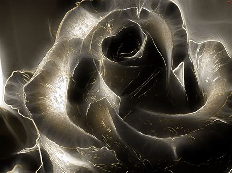 3D Black Rose Image 2206 2560x1920px - HD Wallpaper | Black roses wallpaper, Rose wallpaper ...