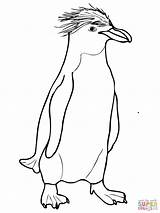 Emperor Penguin Coloring Pages  Coloring Home sketch template