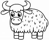 Yak Coloring Pages  Free Printable For Kids sketch template