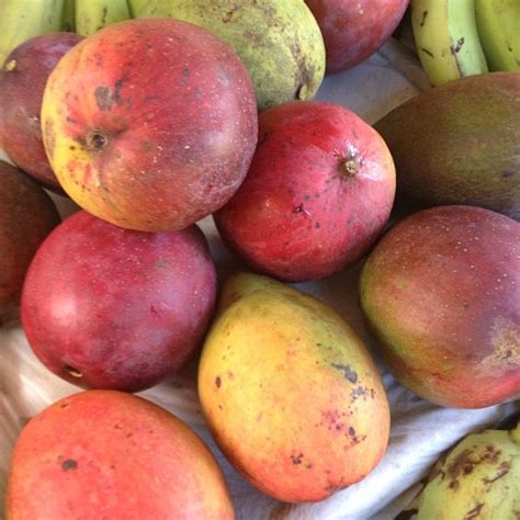 Kahuku Land Farms Fruit Stand - Farmers Market in Kahuku