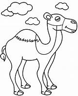 African Animal coloring page camel sketch template