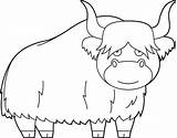 Yak Coloring Vector Art Icons And Graphics For Free Download sketch template