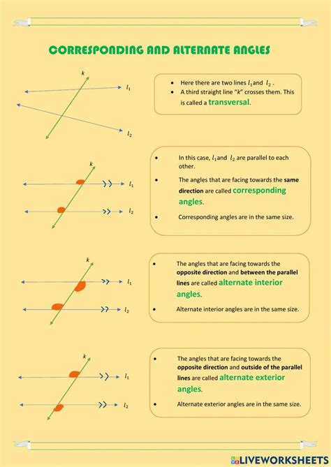 Consecutive Angles Worksheet: Practice and Solutions