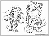 23 Everest Paw Patrol Coloring Pages  ColoringPagesOnlycom sketch template