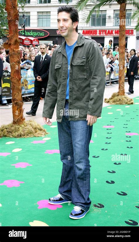 David Schwimmer at the UK charity premiere of Madagascara which took ...