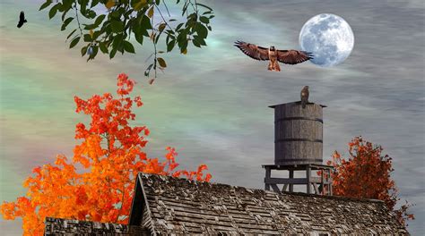 Hawks Old Barn Night - Free photo on Pixabay - Pixabay