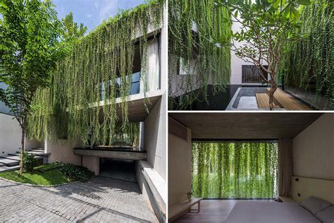 Hanging Plants From Concrete Ceiling | Shelly Lighting