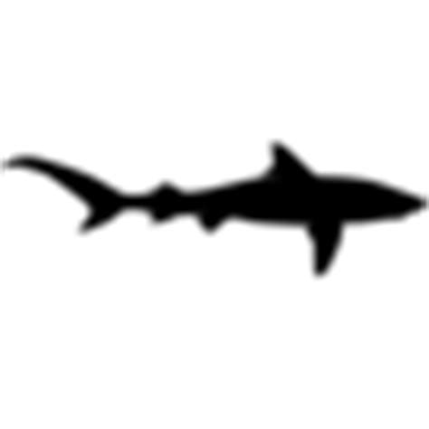 mako shark | Speed of Animals