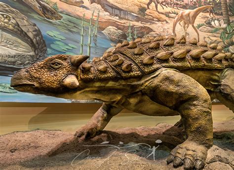 Dinosaur at Fernbank Museum of Natural History in Atlanta Georgia | Carmen K. Sisson | Photographer