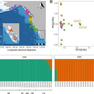 Population structure and sample origins for the fin whale genomes... | Download Scientific Diagram