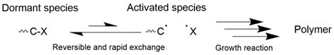 What is free radical polymerization? types, characteristics, reaction mechanism, and typical ...