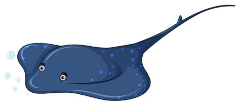 A stingray on white background 519149 Vector Art at Vecteezy