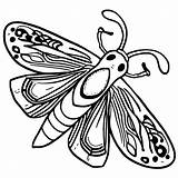 Moth Coloring Page · Creative Fabrica sketch template