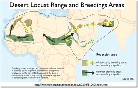 How to Kill Locusts