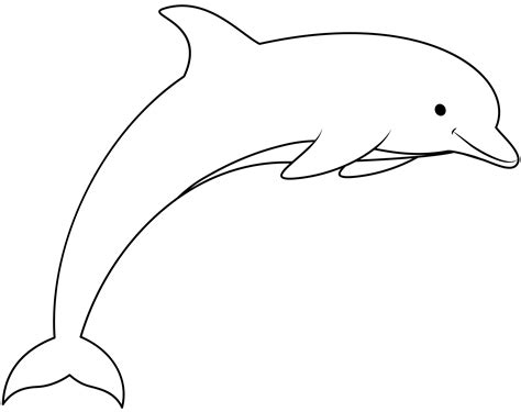 Dolphin Outline Template